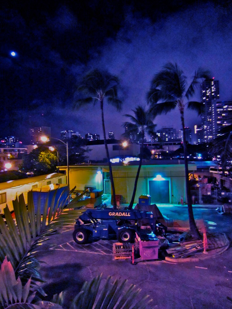 Waikiki nights